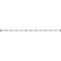 E53551