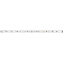 E53552
