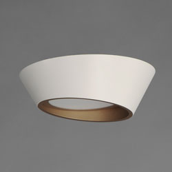 Slant 12" LED Wall Sconce/Flush Mount (Wet)