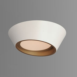 Slant 12" LED Wall Sconce/Flush Mount (Wet)