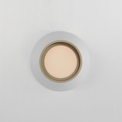 Slant 12" LED Wall Sconce/Flush Mount (Wet)